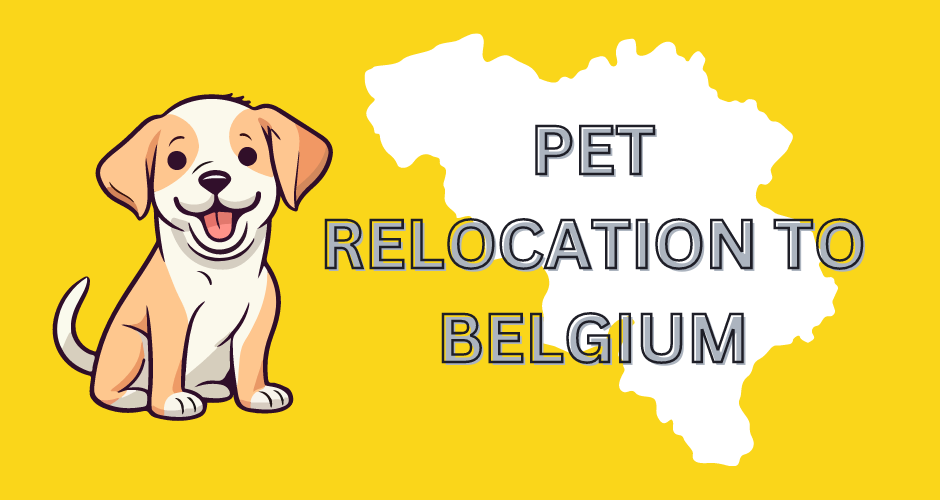 PET Relocation to belgium from india