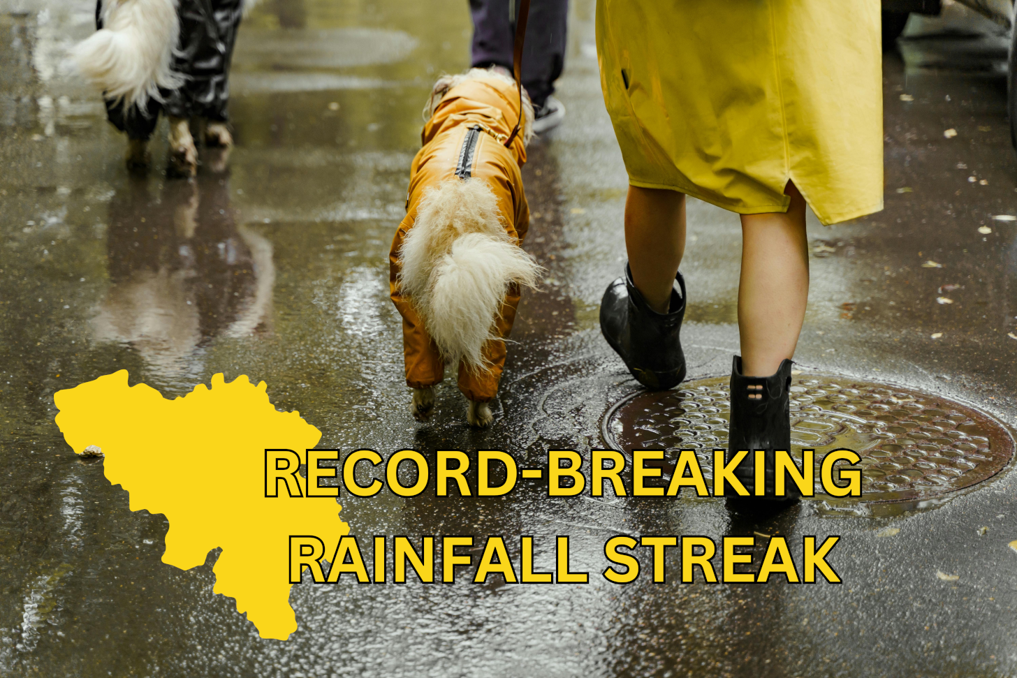 Record-Breaking Rainfall Streak